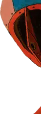 head