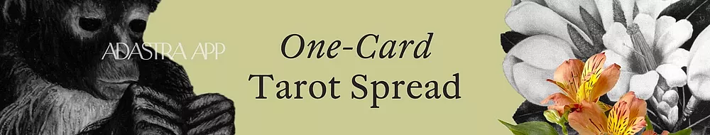 tarot cards spreads