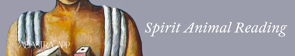 types psychic reading cards