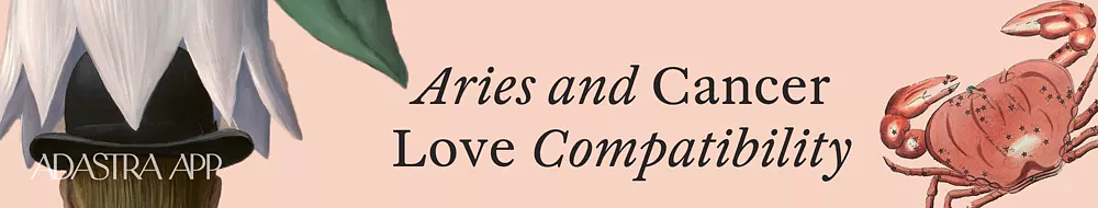 compatibility and zodiac signs