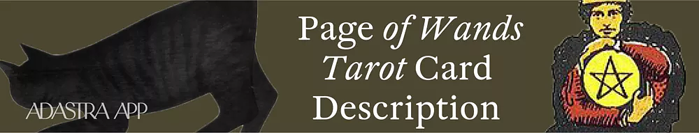 tarot cards page of wands meaning