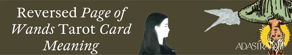 page of wands tarot card meaning