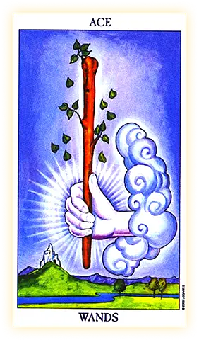 Today the card "Ace of Wands" fell out for you