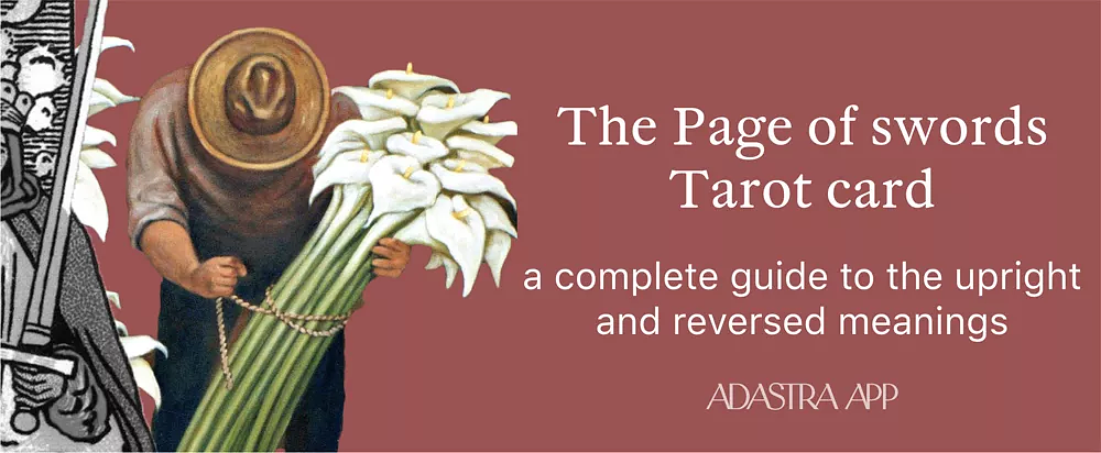 page of swords tarot card meaning love