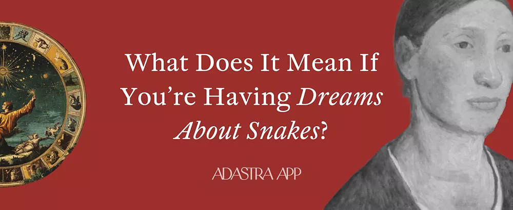 what do dreams about snake bites mean