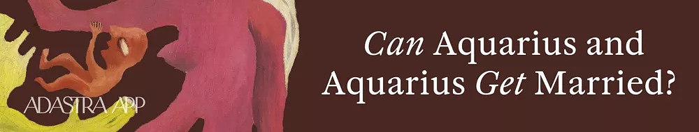 aquarius compatibility with aquarius