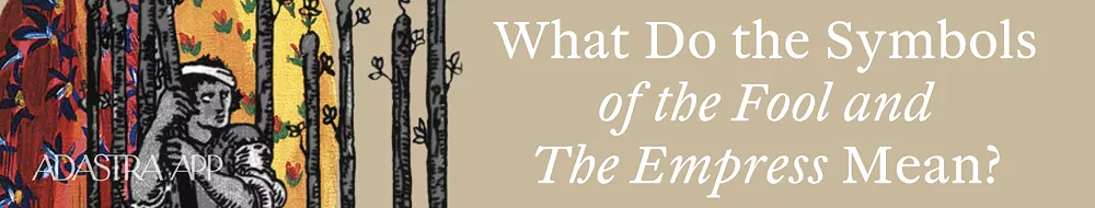 Fool and The Empress: Career and Finance