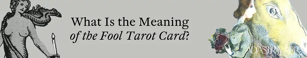 Fool and The Emperor Interpretation