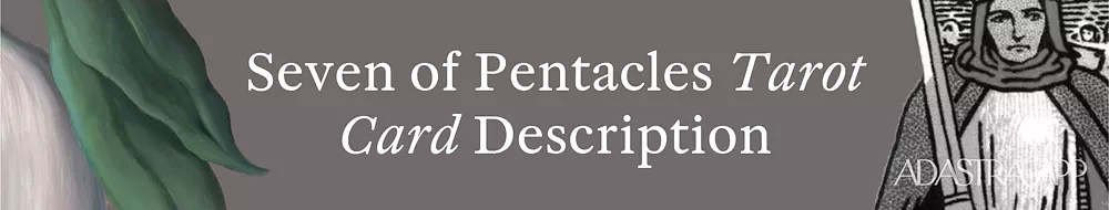 the seven of pentacles tarot card meaning